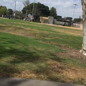 Meet your Posher, Junior